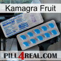 Kamagra Fruit new15